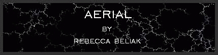 Aerial by Rebecca Beliak