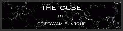 The cube by Cristovam Buarque