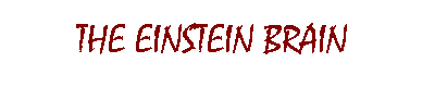 The Einstein Brain (link to Nesvadba homepage)