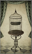 birdcage