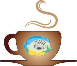 cup5