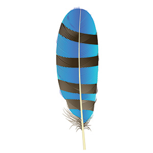 feather