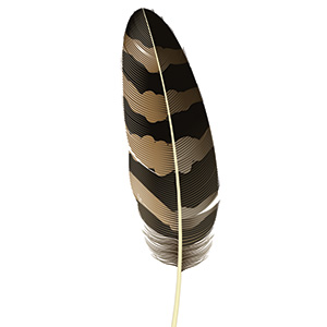 feather