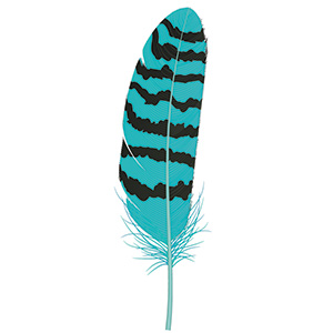 feather