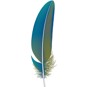 feather