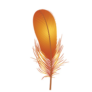 feather