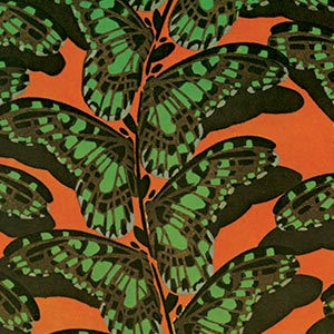 insect pattern
