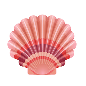 shell