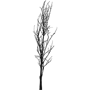 leafless tree