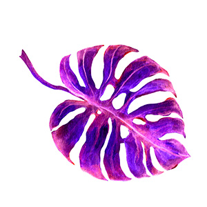 tropical foliage