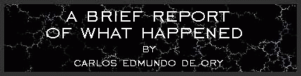 A Brief Report of What Happened by Carlos Edmundo de Ory
