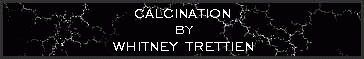 Calcination by Whitney Trettien