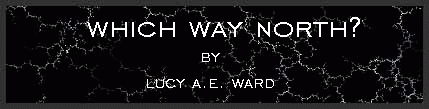 Which Way North? by Lucy A.E. Ward
