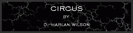 Circus by D. Harlan Wilson