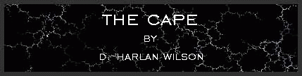 The Cape
by D. Harlan Wilson